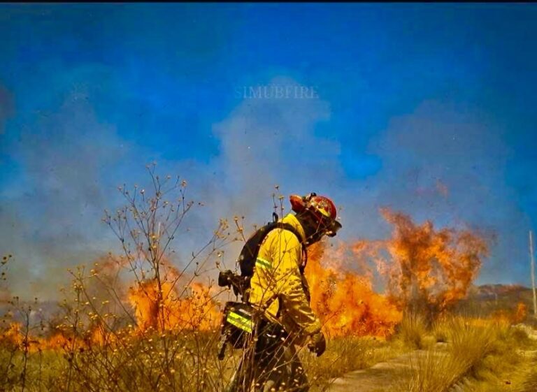 Bomberos voluntarios de Guanajuato enfrentan incendios simultáneos en la Capital